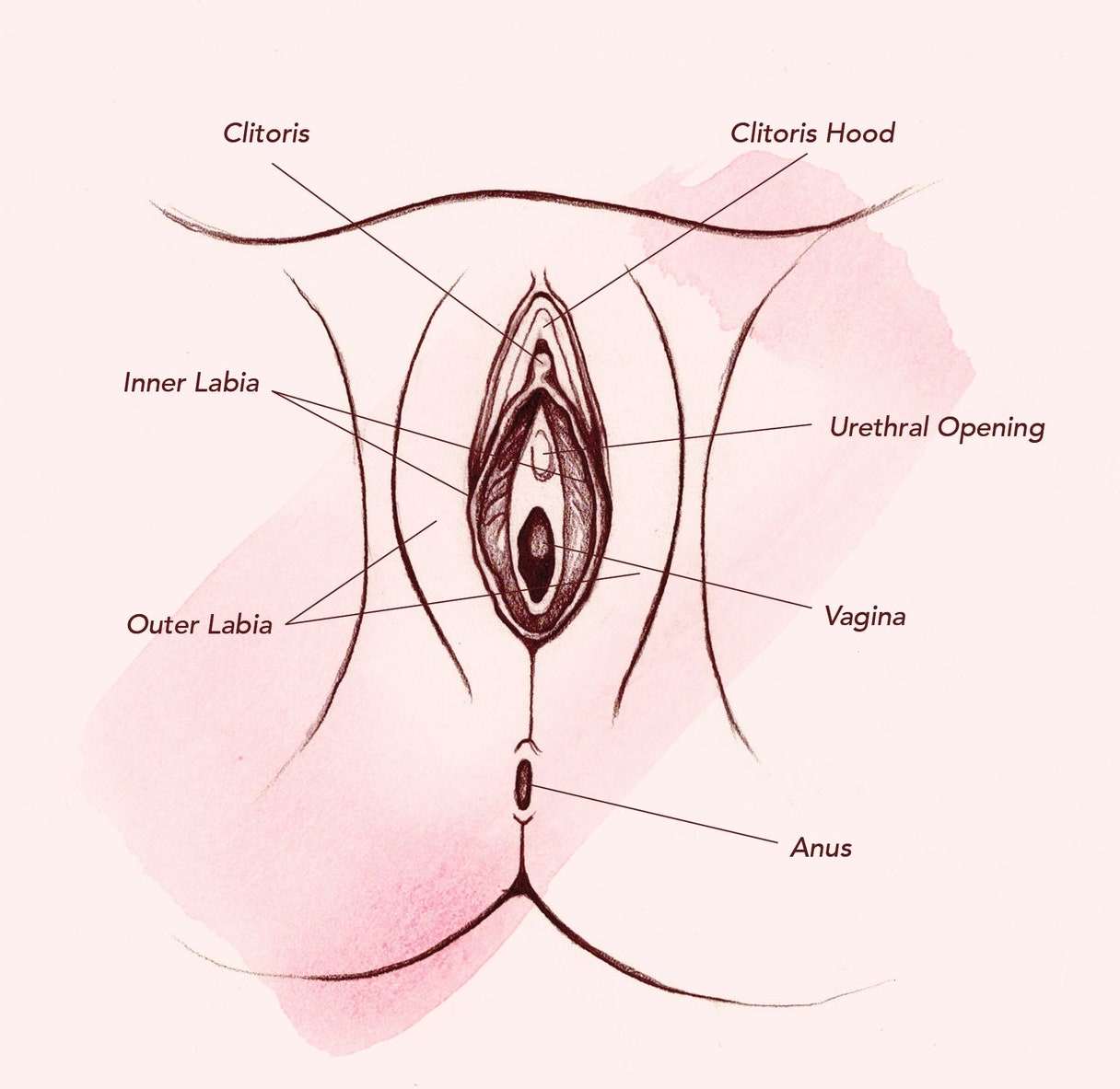 Different Photos Of Vagina