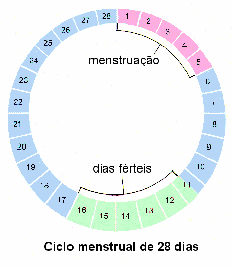 Quando a duração do ciclo menstrual varia em mais de 7 (mulheres com i