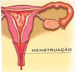 Ilustração da menstruação