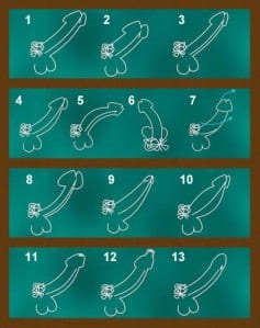 Diferentes tipos de pênis