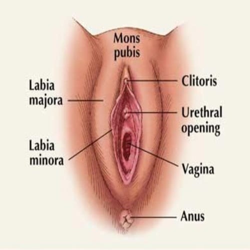 How To Achieve Vaginal Orgasm